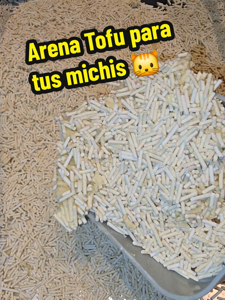 @Sweety._.86 | UGC Spain