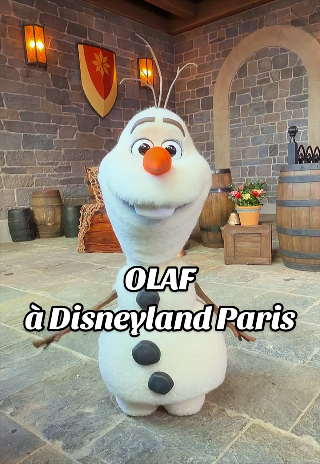 @Backtodisneyland