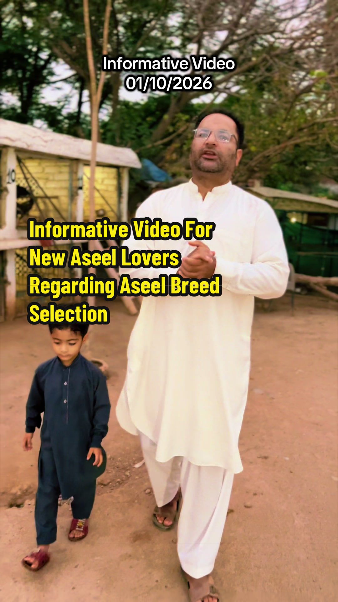 @PK Smart Aseel Birds Factory