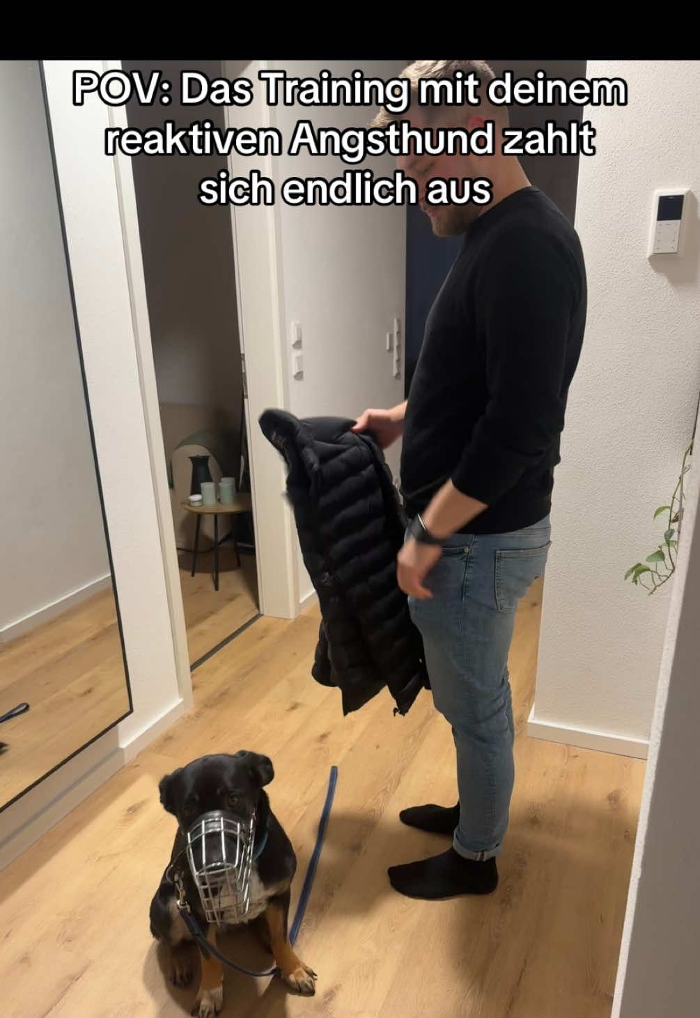 @Nala & Kiwi 🥝🐶