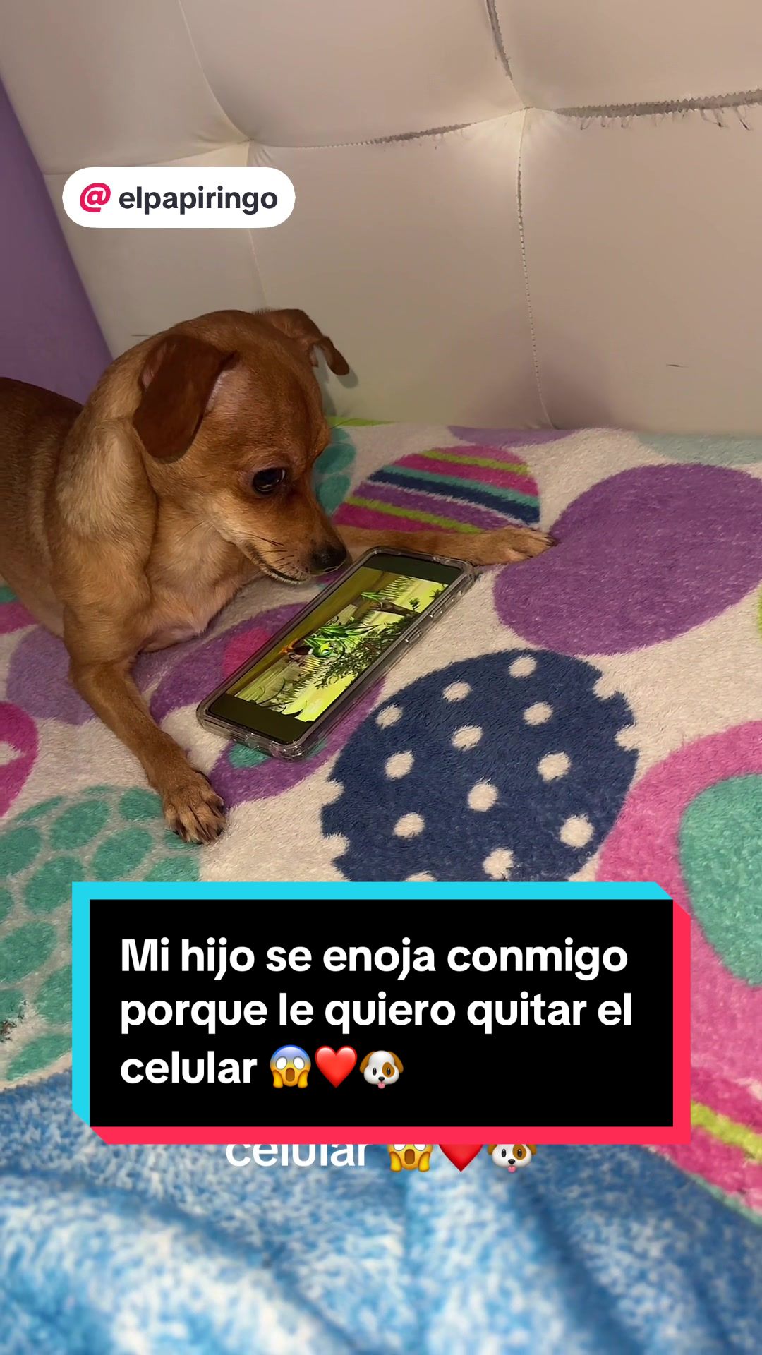 @coco el enoj&oacute;n 🐶 ❤️