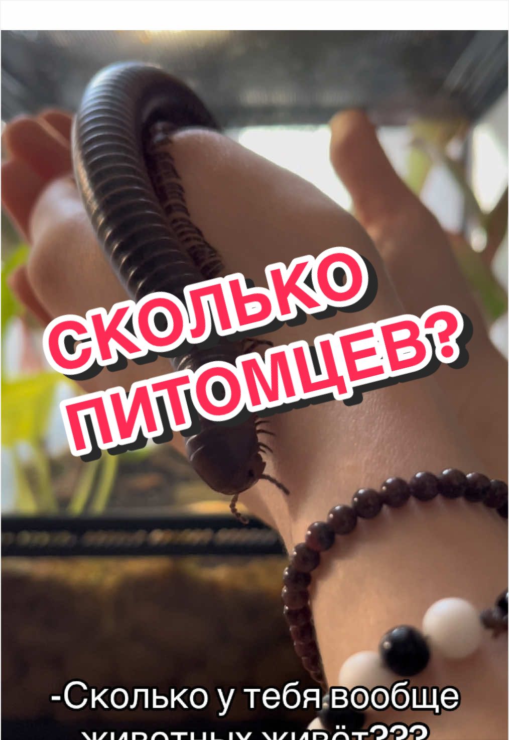 @🦎❤️Геля и питомцы❤️🦎