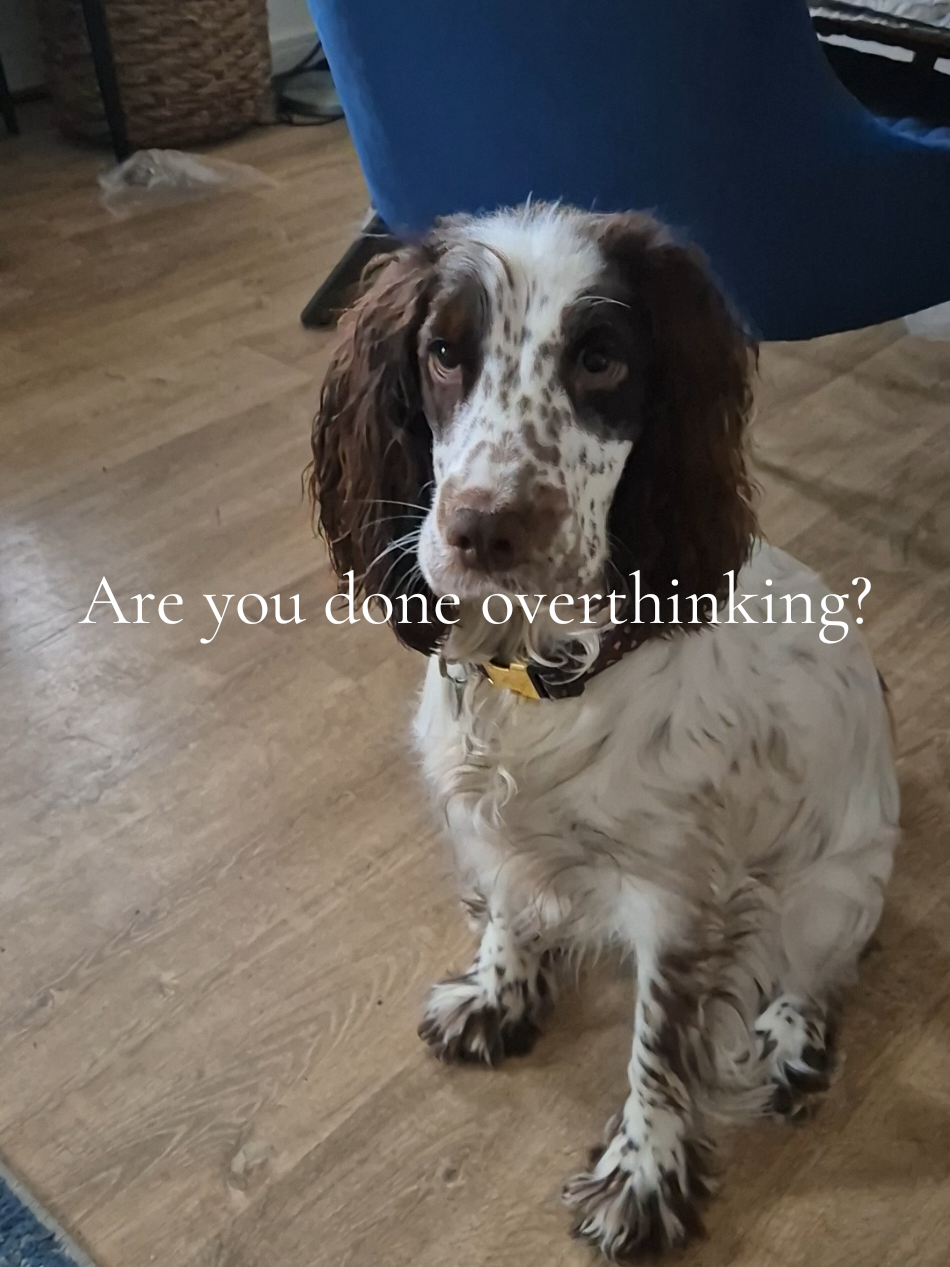 @Emily | Digital Marketing