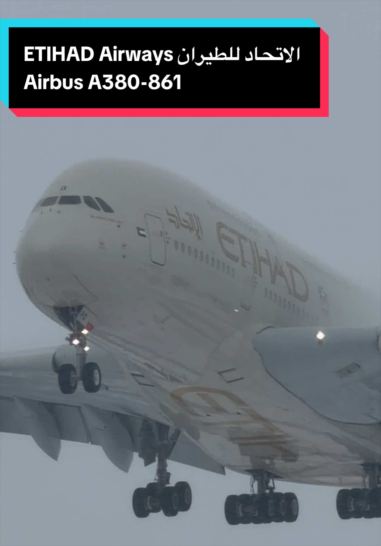 @AVIATION_YYZ_SPOTTER