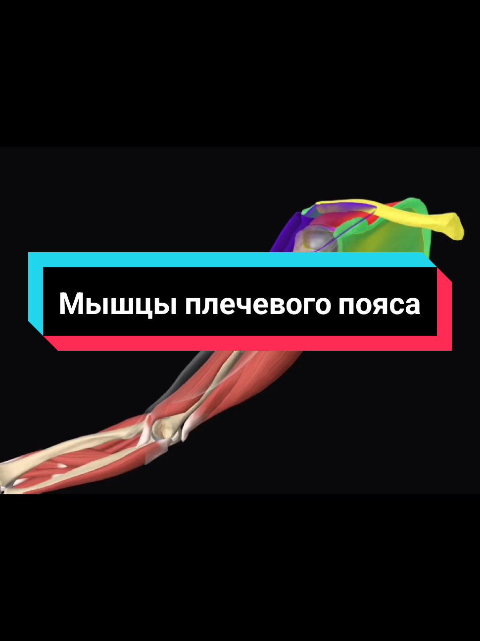 @DushaBolnicy💫
