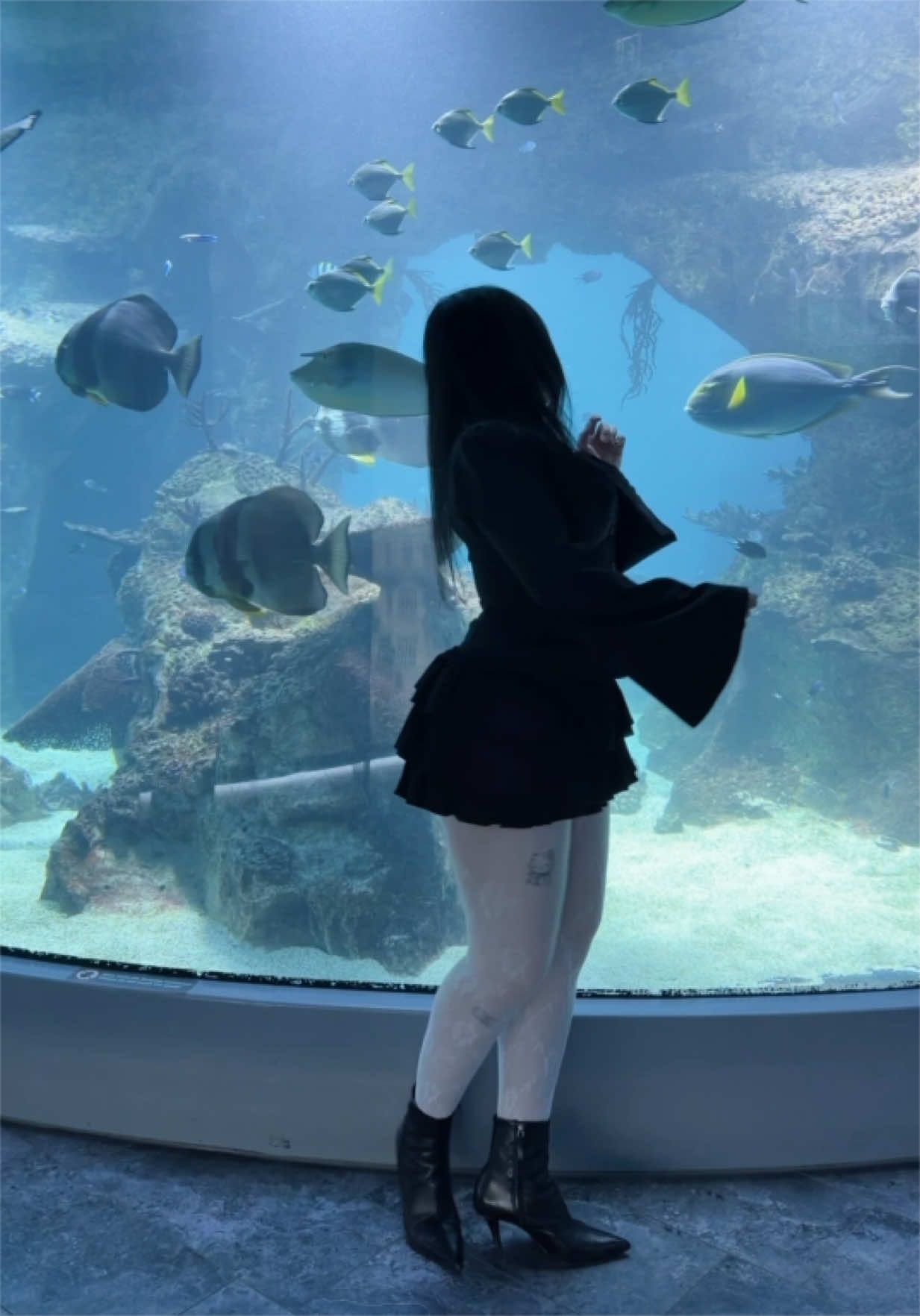 @anda ୨୧