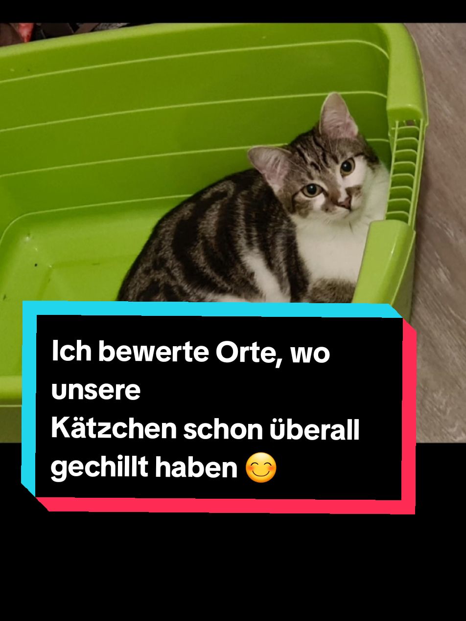 @ksematie