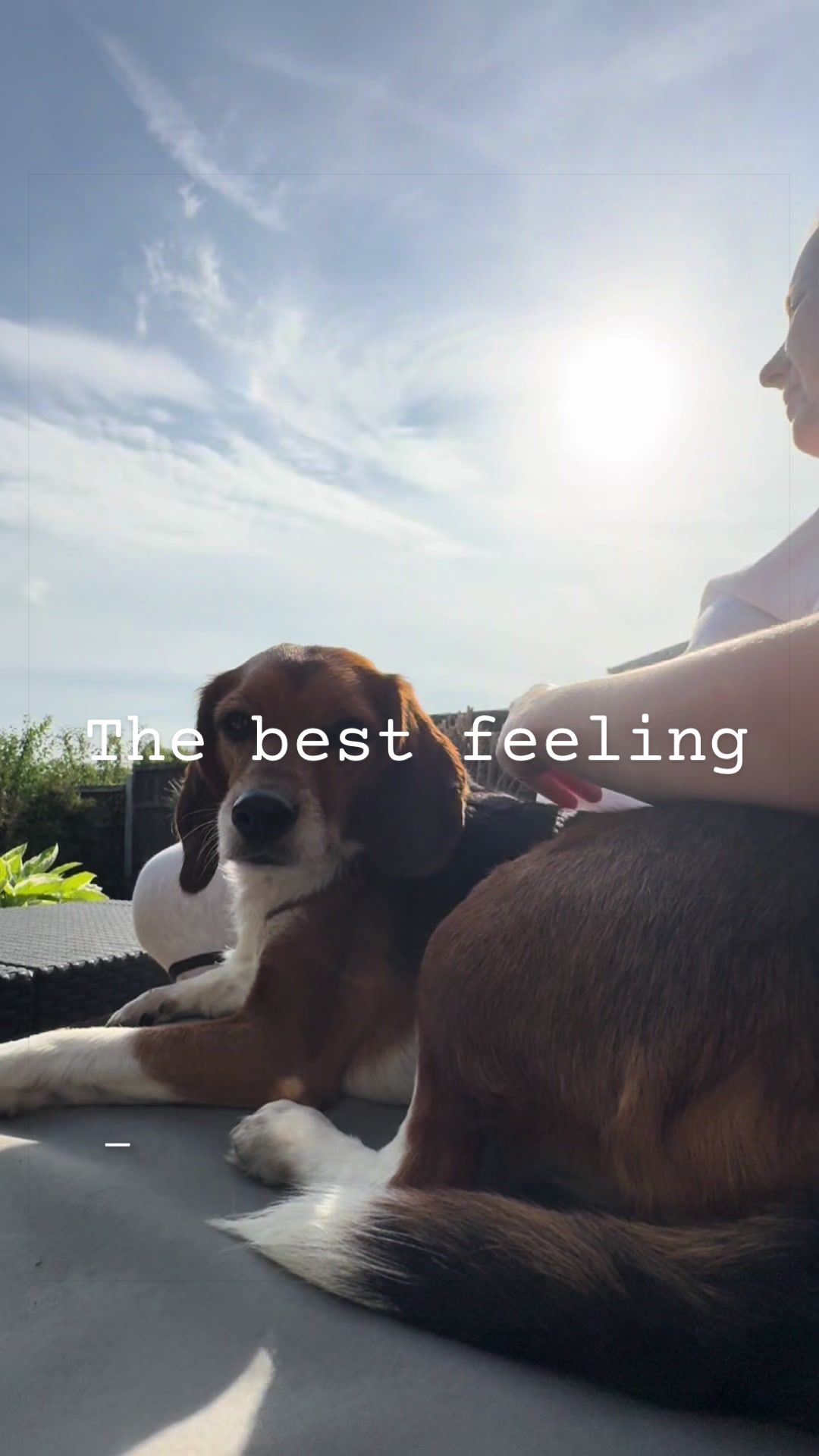 @Winnie the Therapy Dog 🐾✨