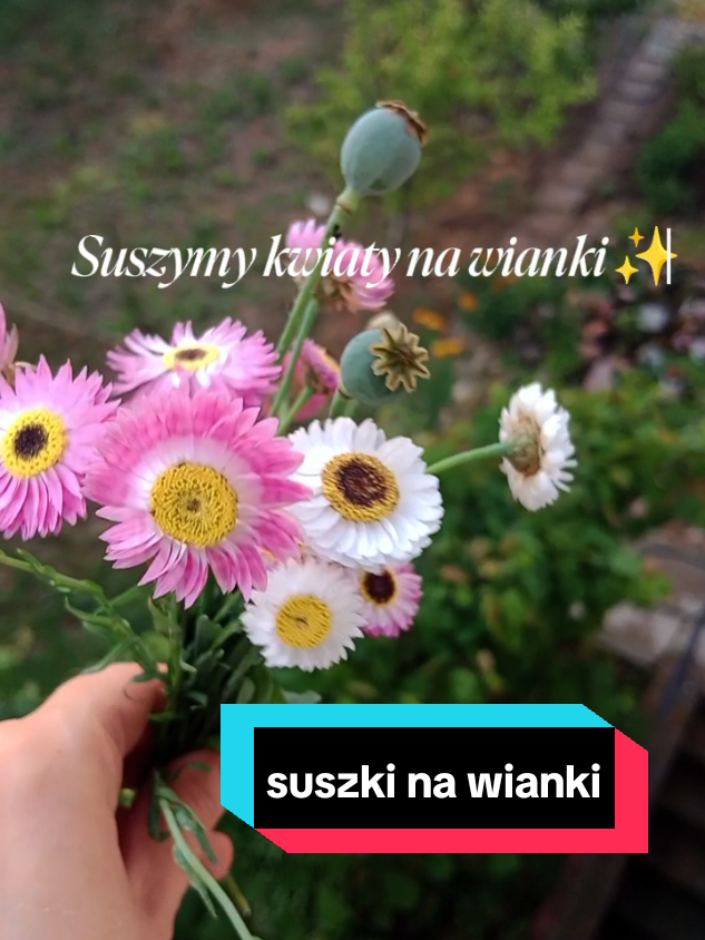 @Splotniczka-Justyna