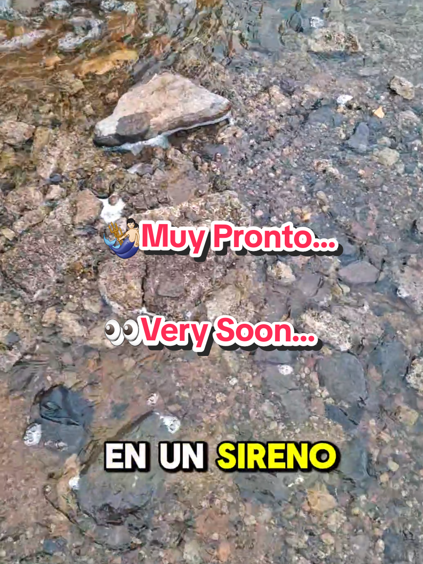 @Ricardo Galvan gomez