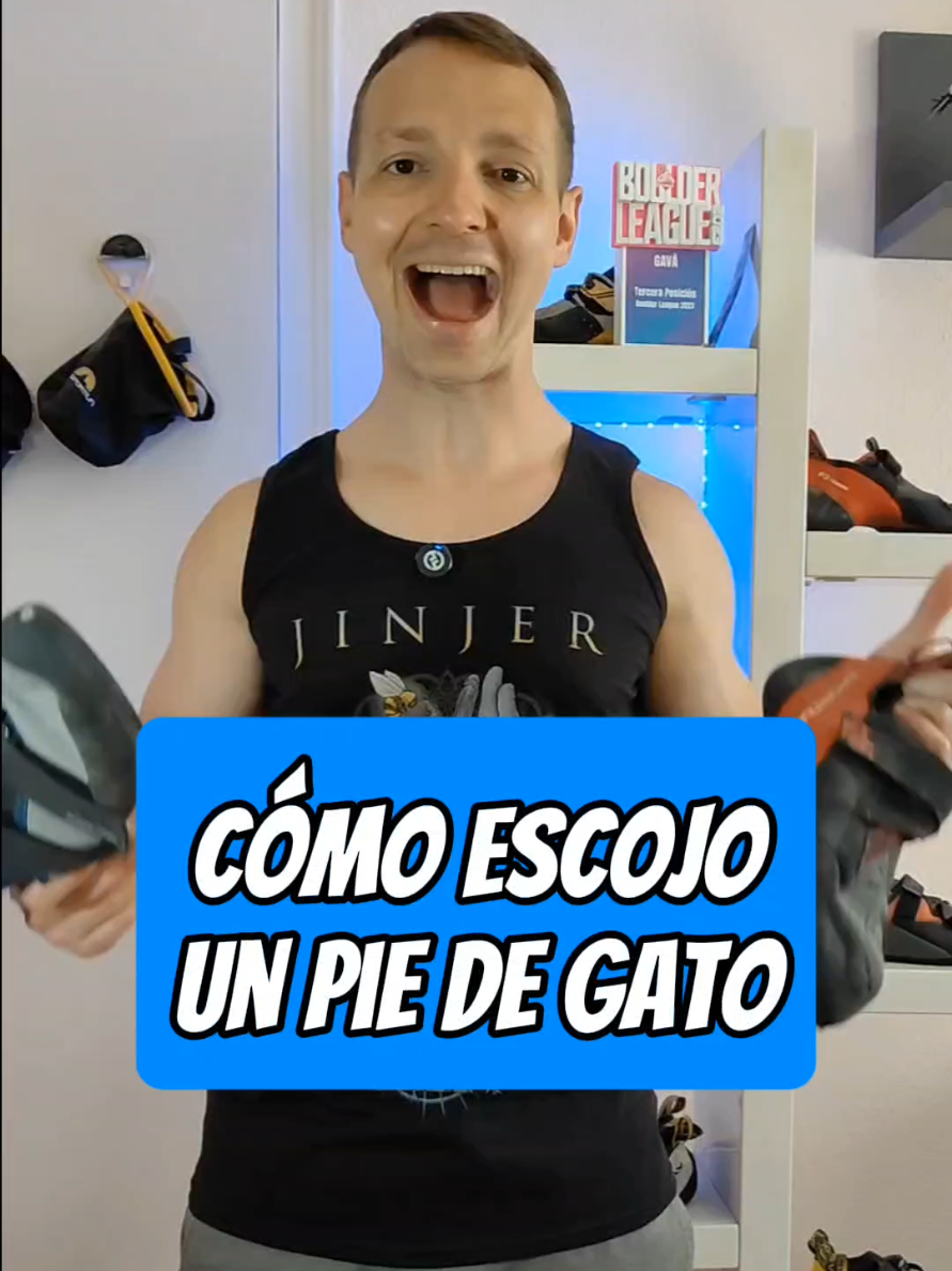 @David LP