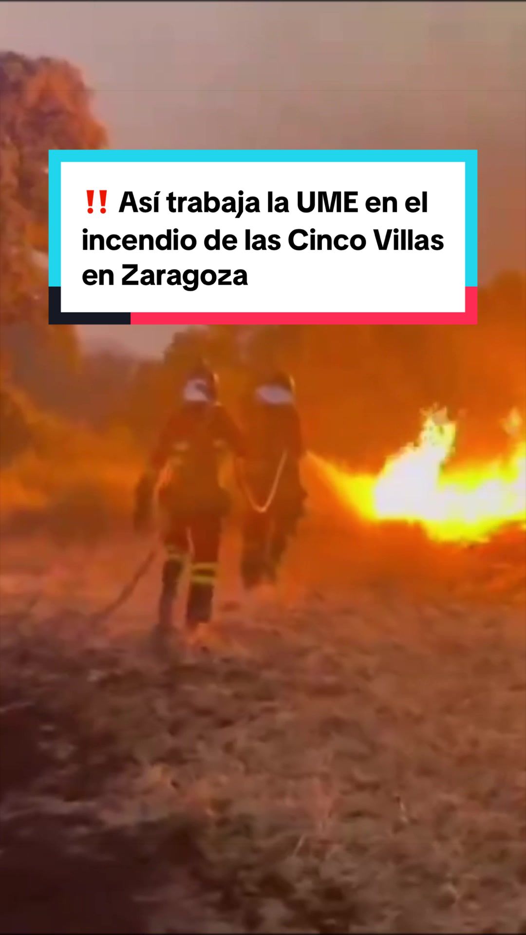 @Heraldo de Aragón - Noticias