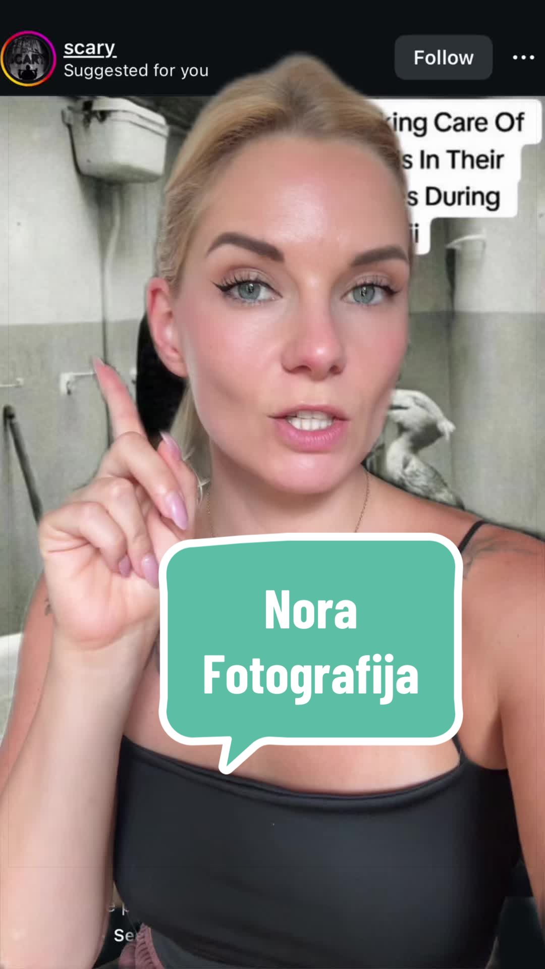 @Alenka Trogrlic