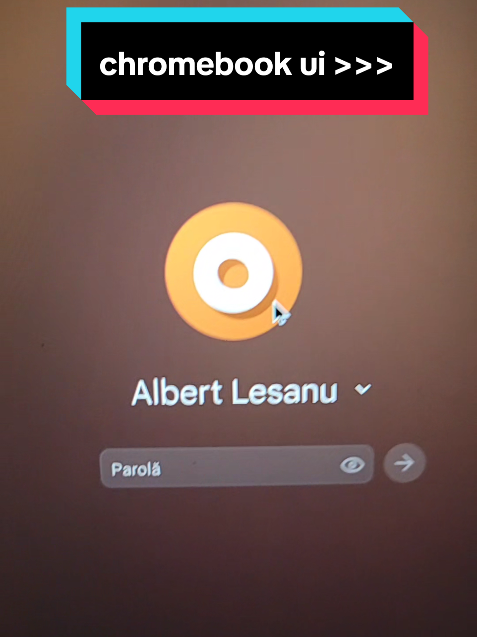 @Albert