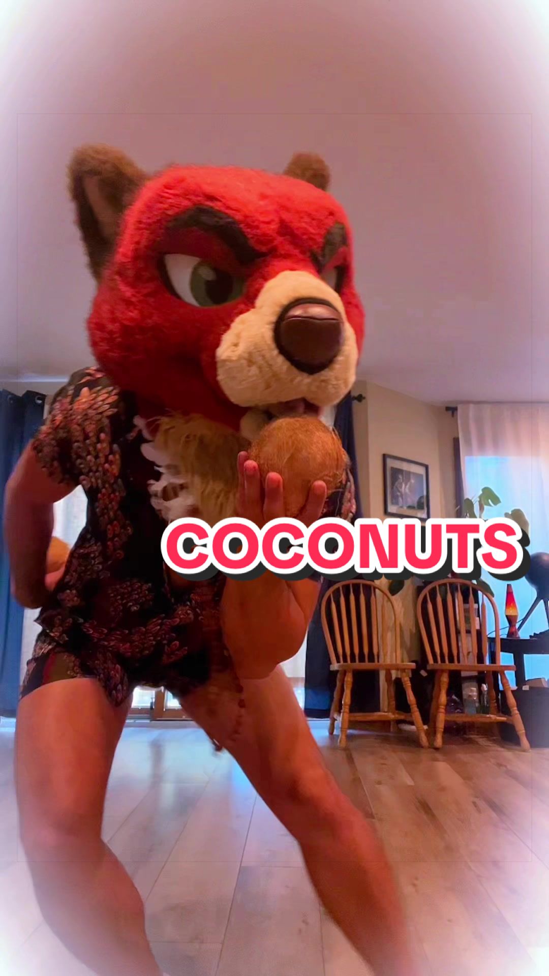 @Mangusu