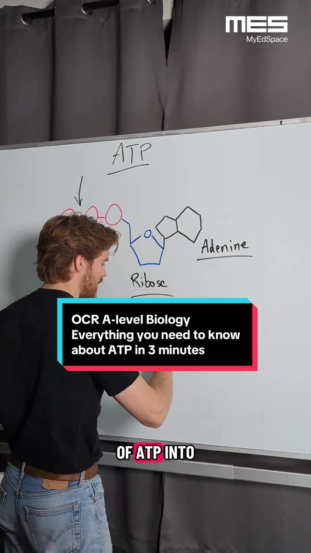 @MyEdSpace Biology