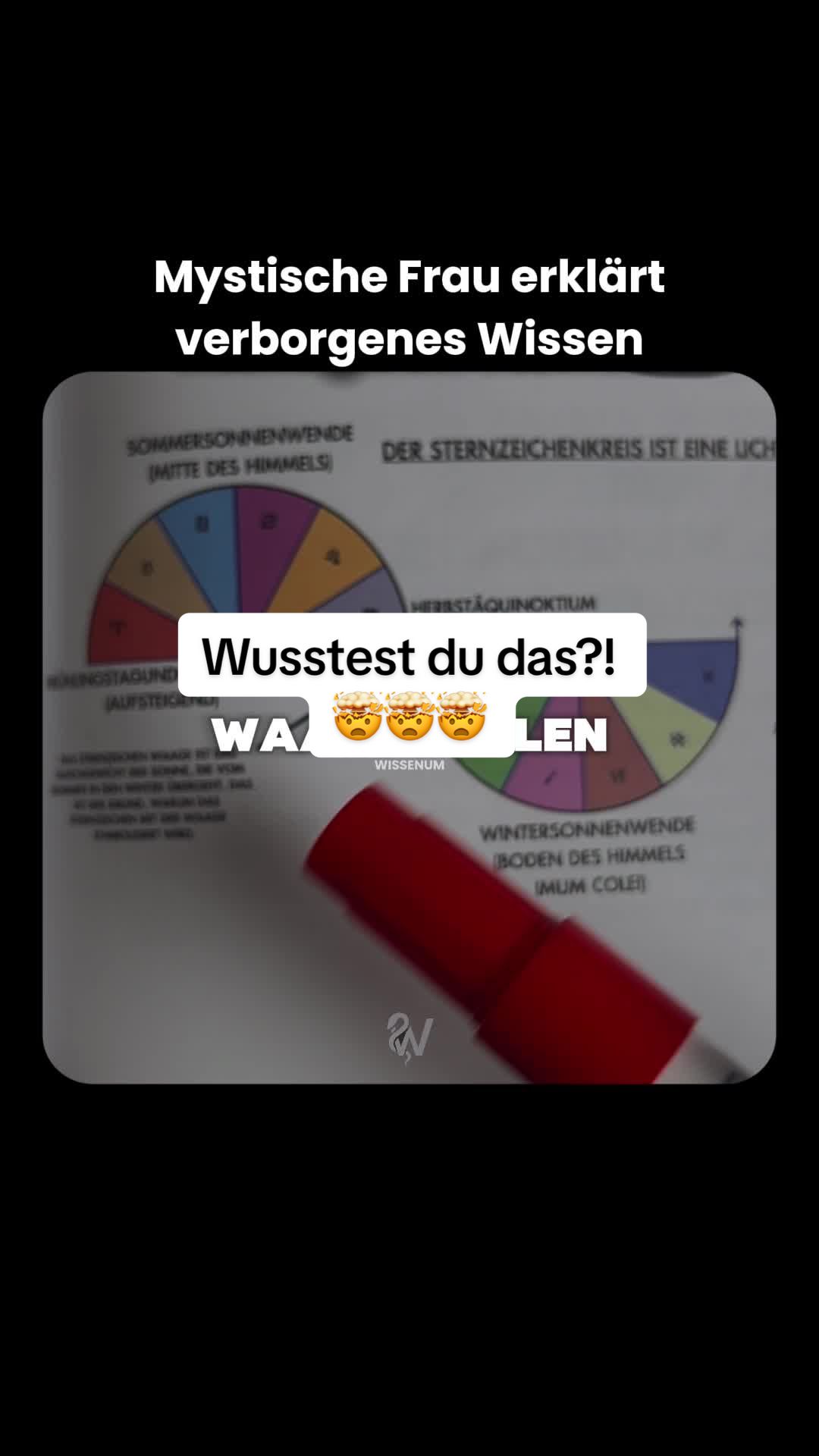 @thewissenum