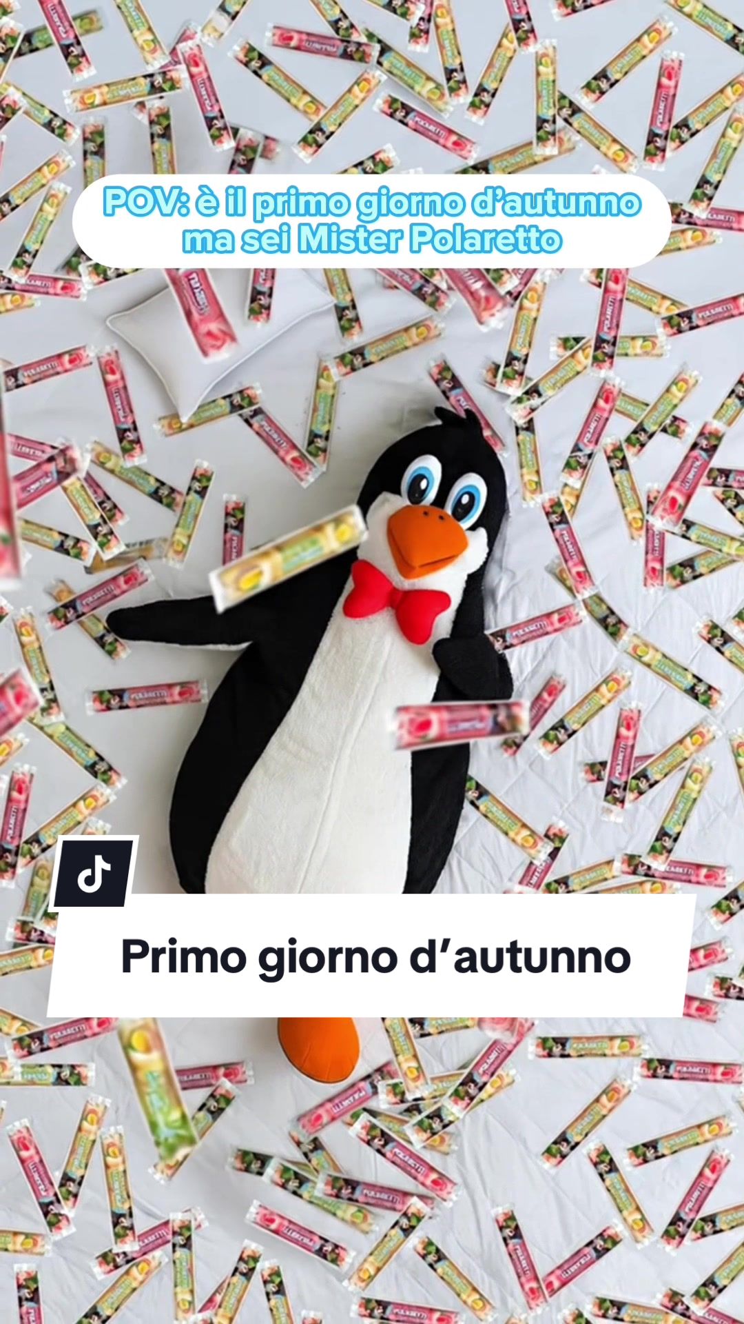 @Polaretti Dolfin