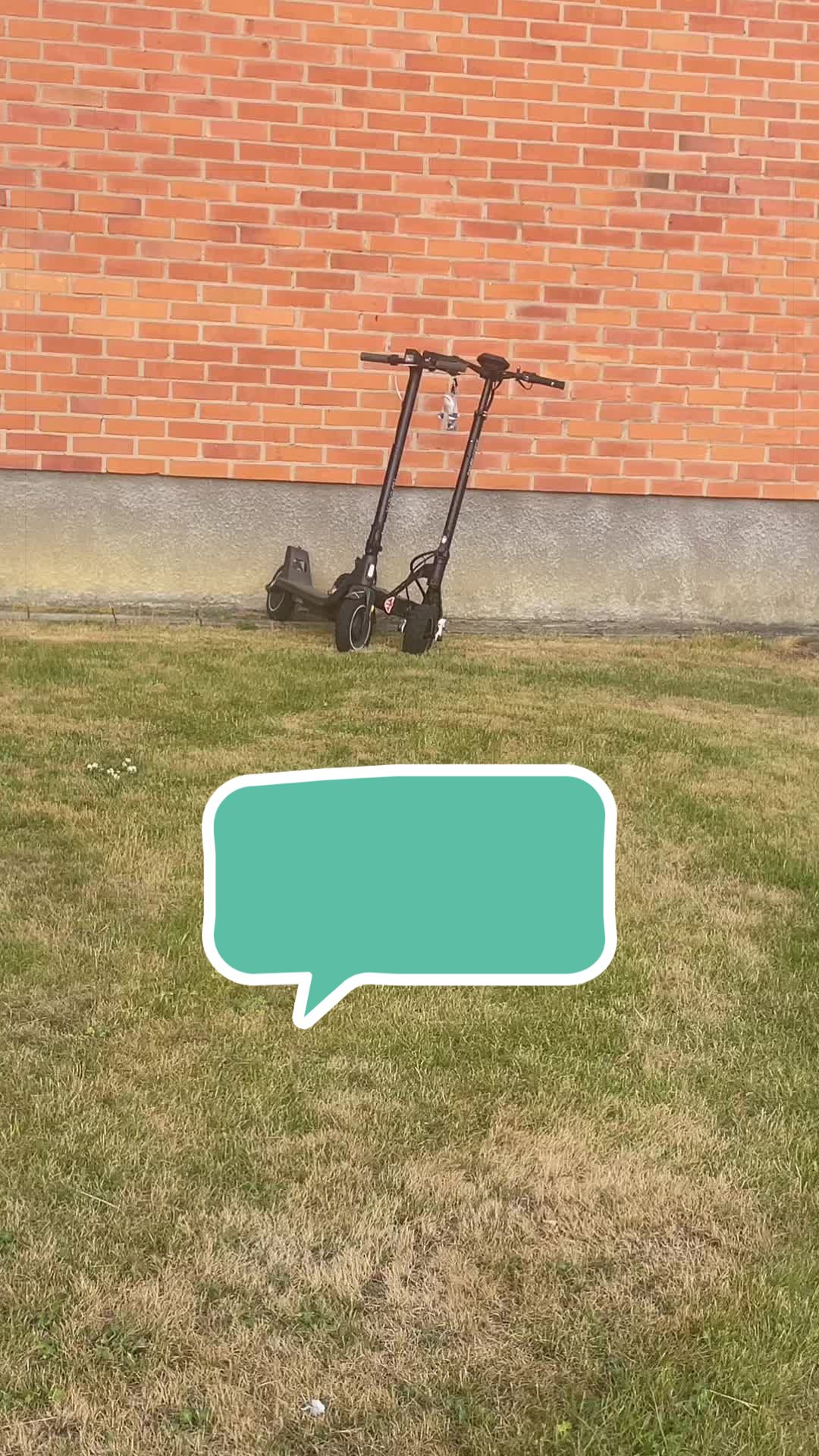 @PieSeed🦅