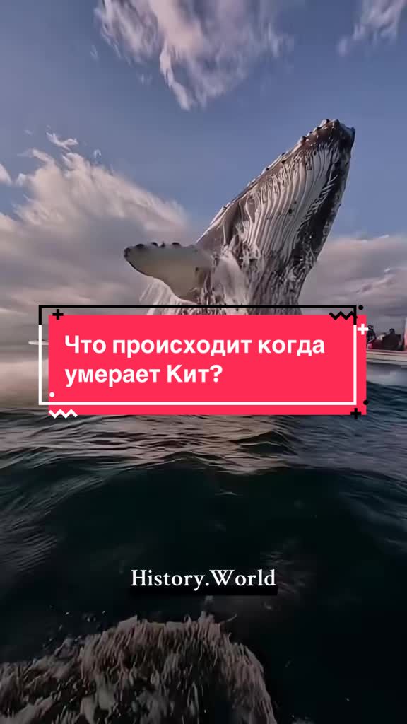 @History.World