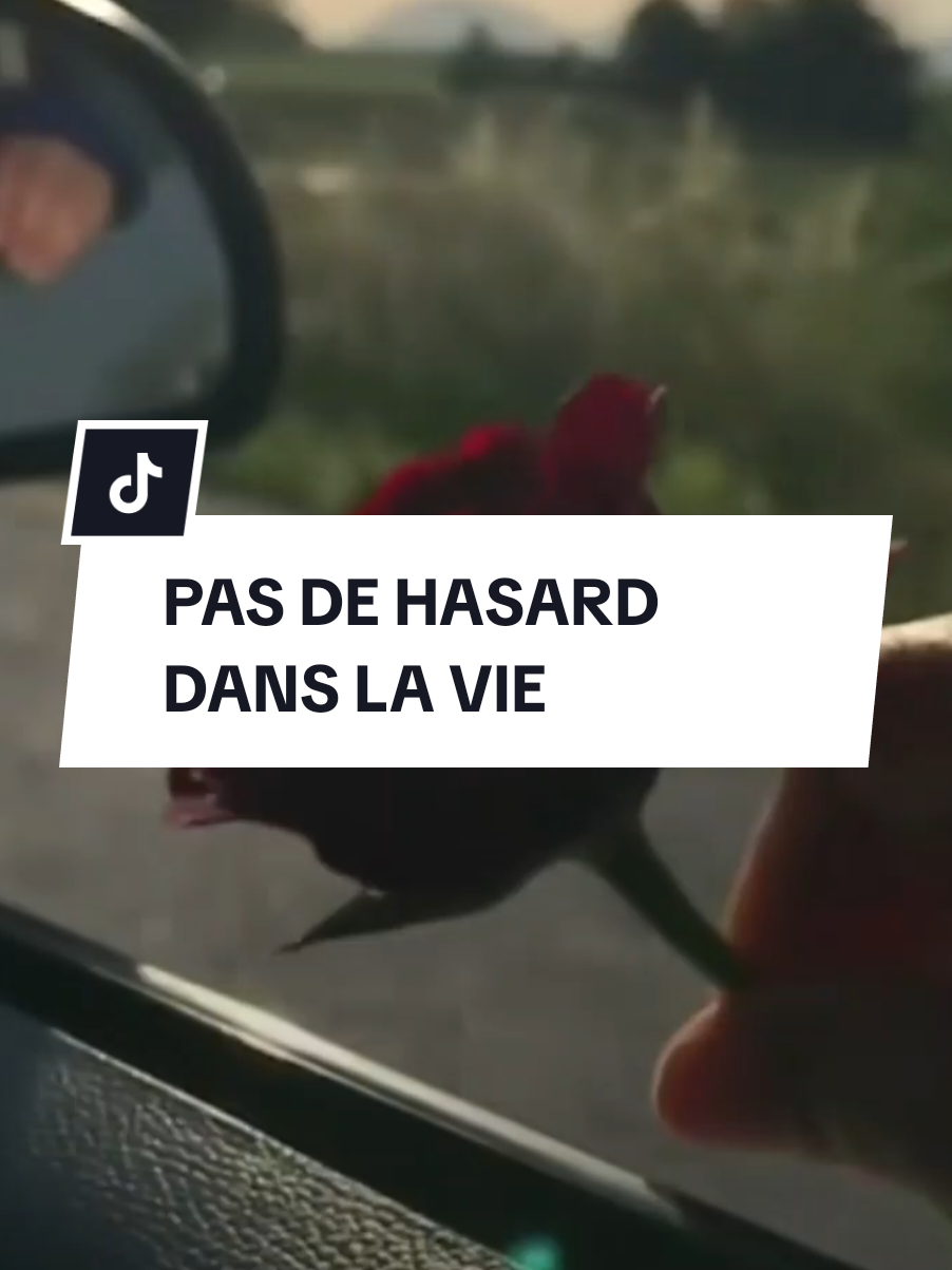 @🎀 Rose d'Istanbul 🎀