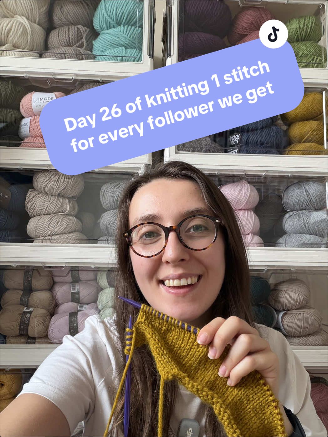 @The Yarn Nest