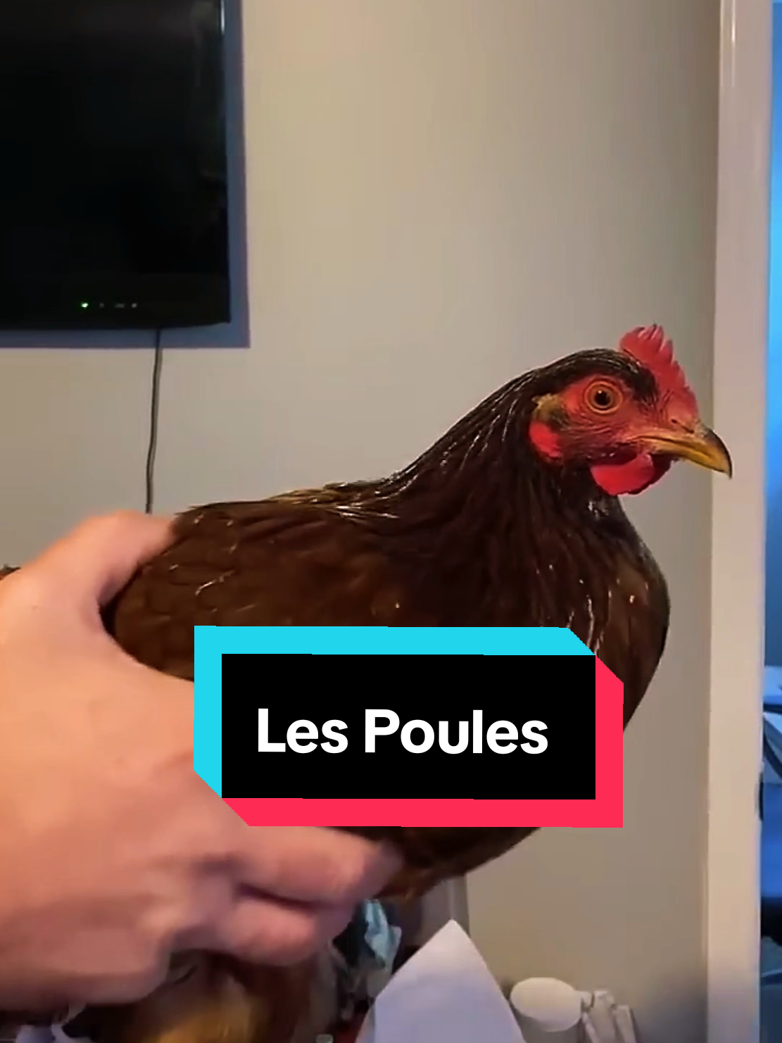 @Savoir Plus 🤓