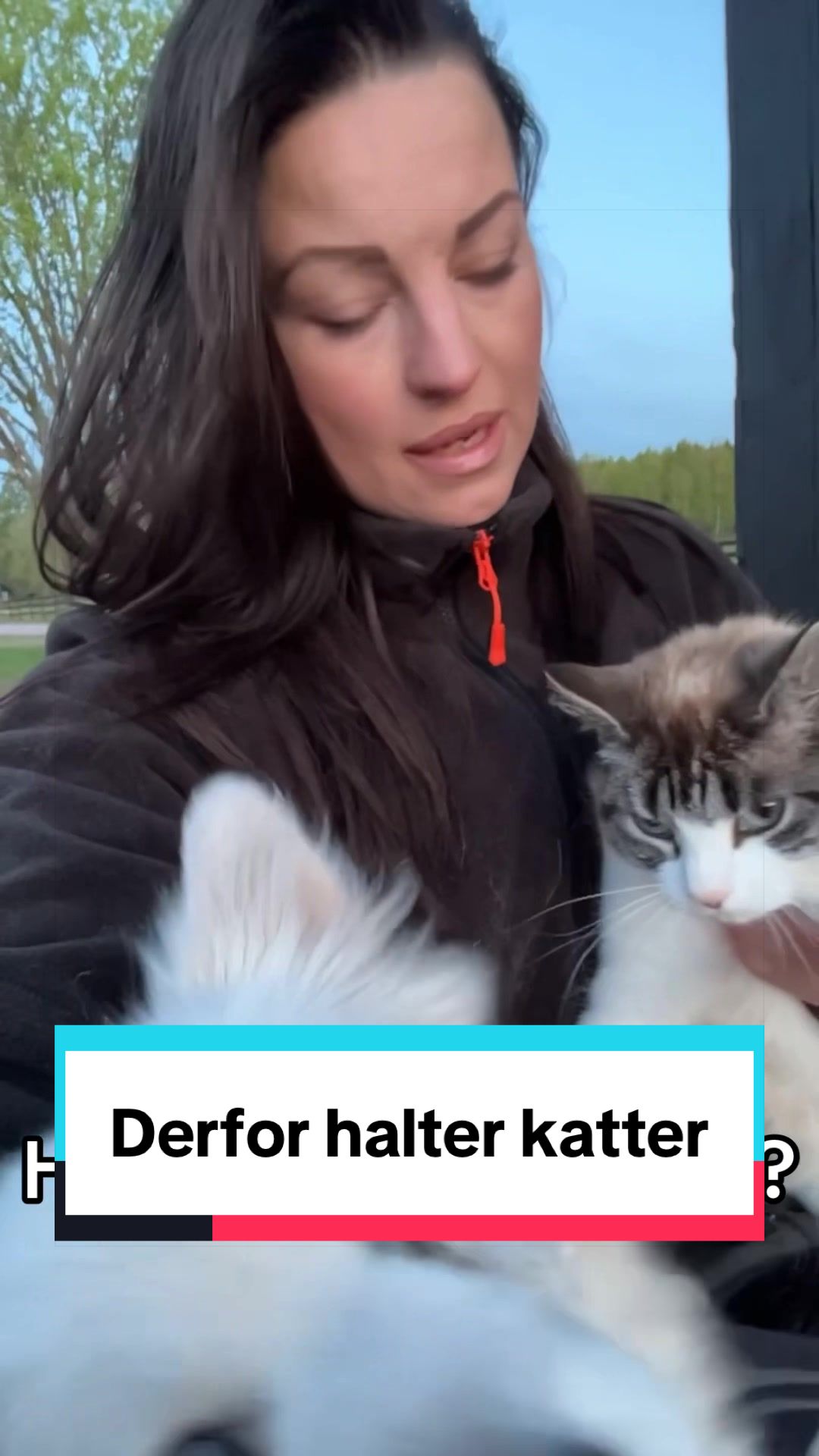 @dr.aya.vet