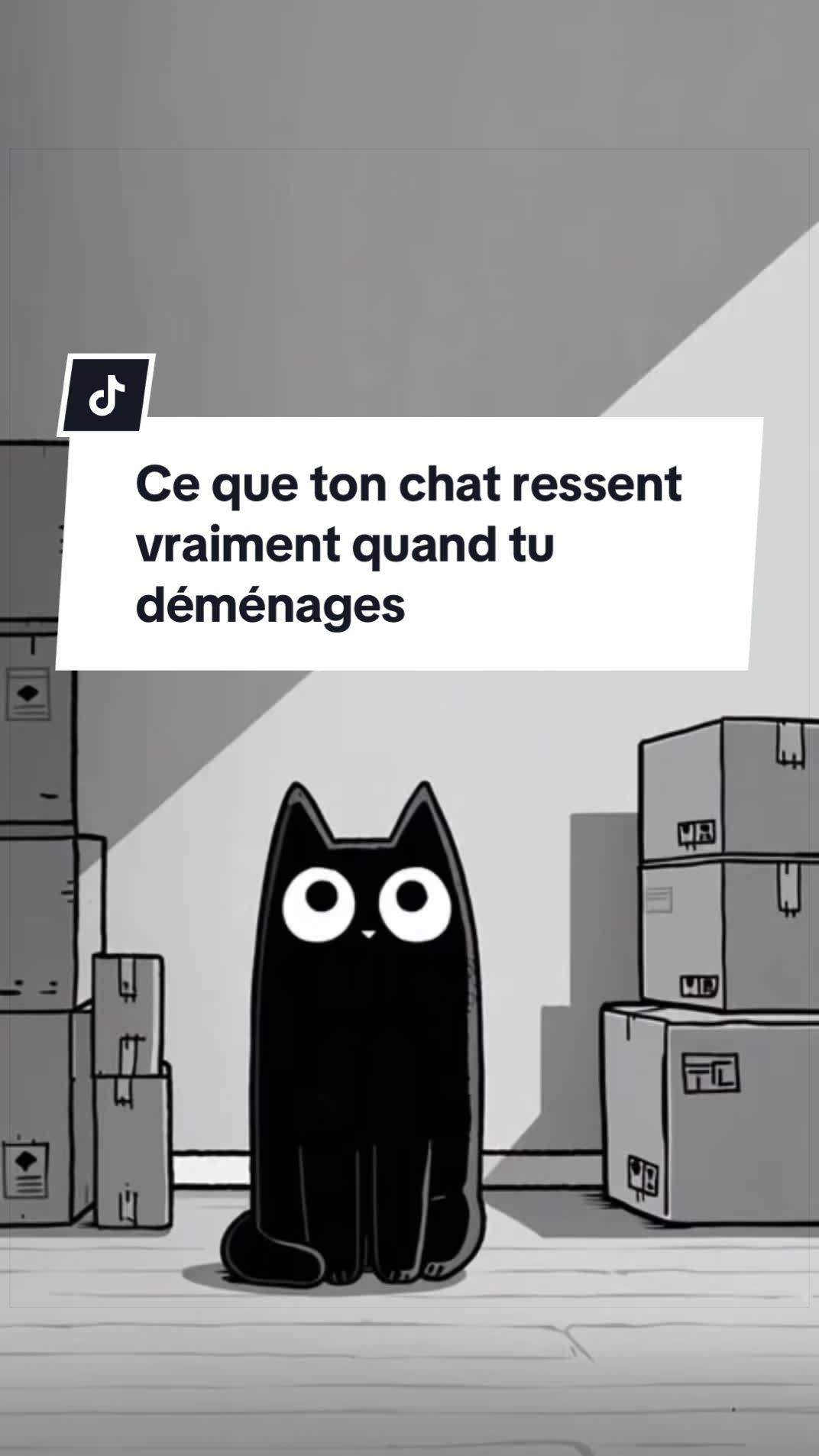 @PsyCat