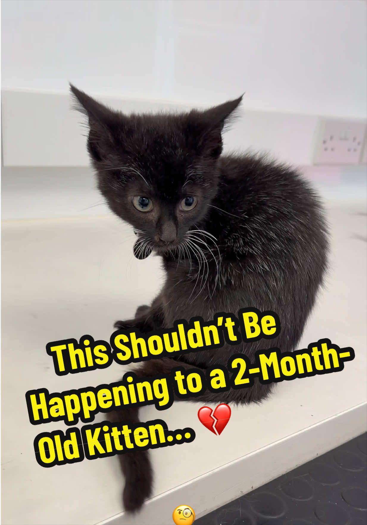 @Tomasthevet