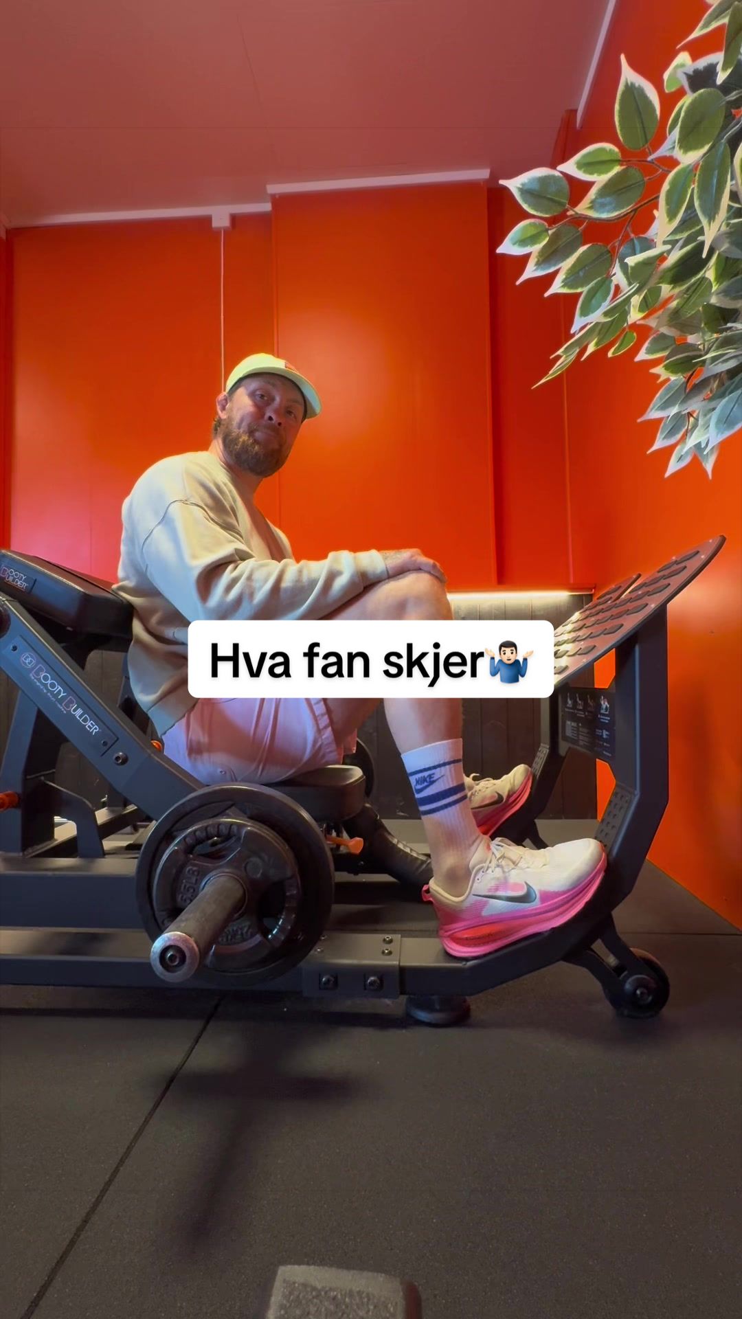 @fritzaanes