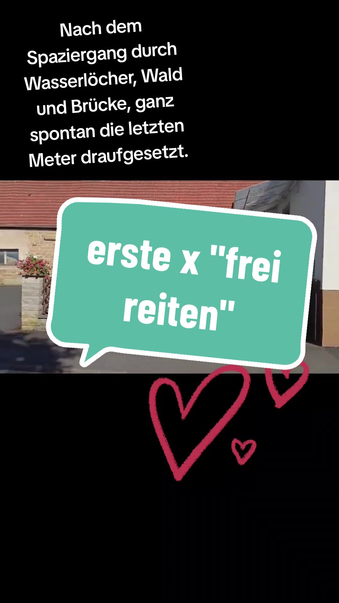 @Farbklecks Pferde