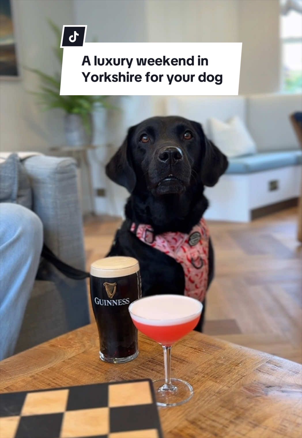 @The Yorkshireman