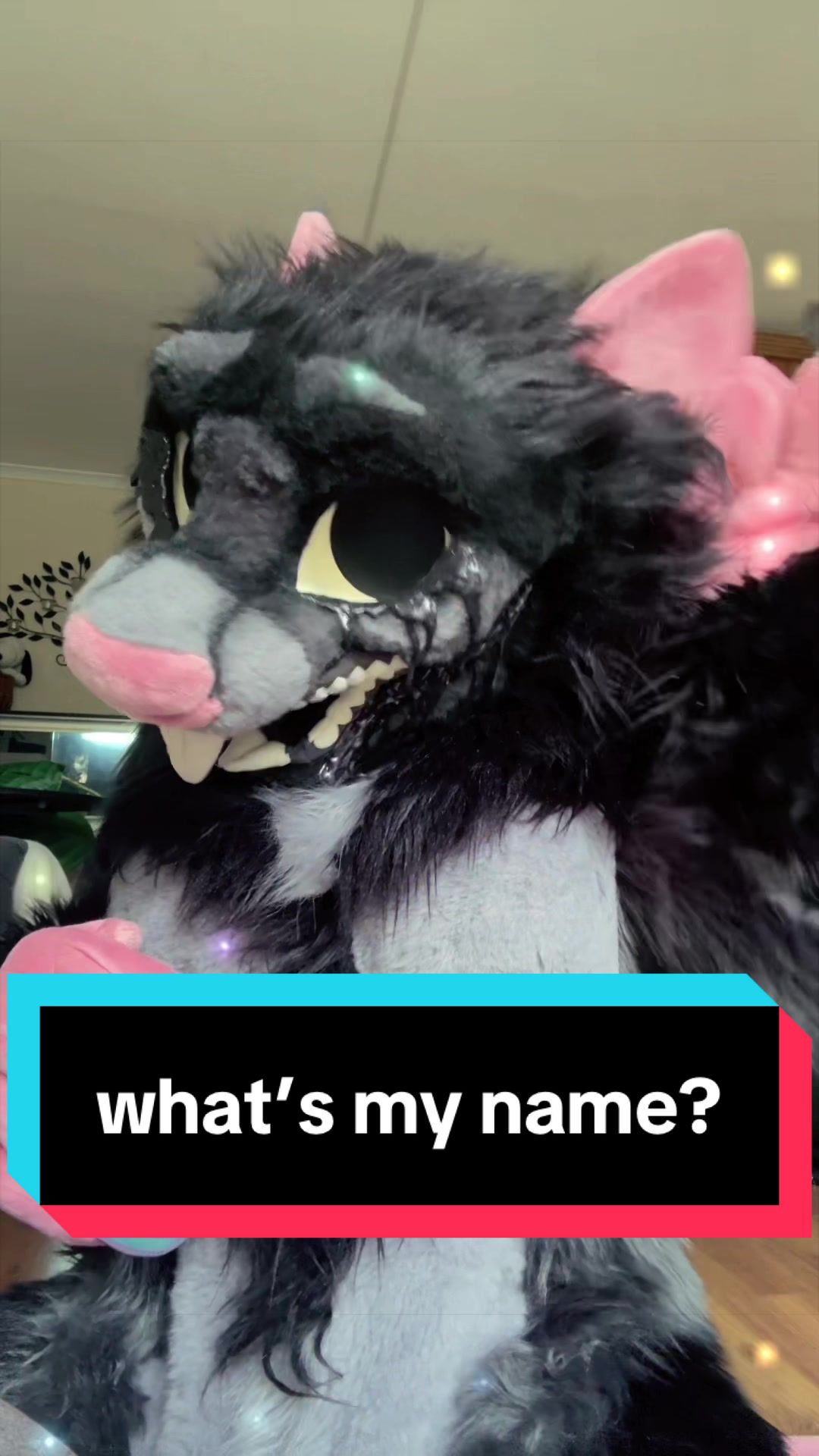 @Rayne (alyxamutt)
