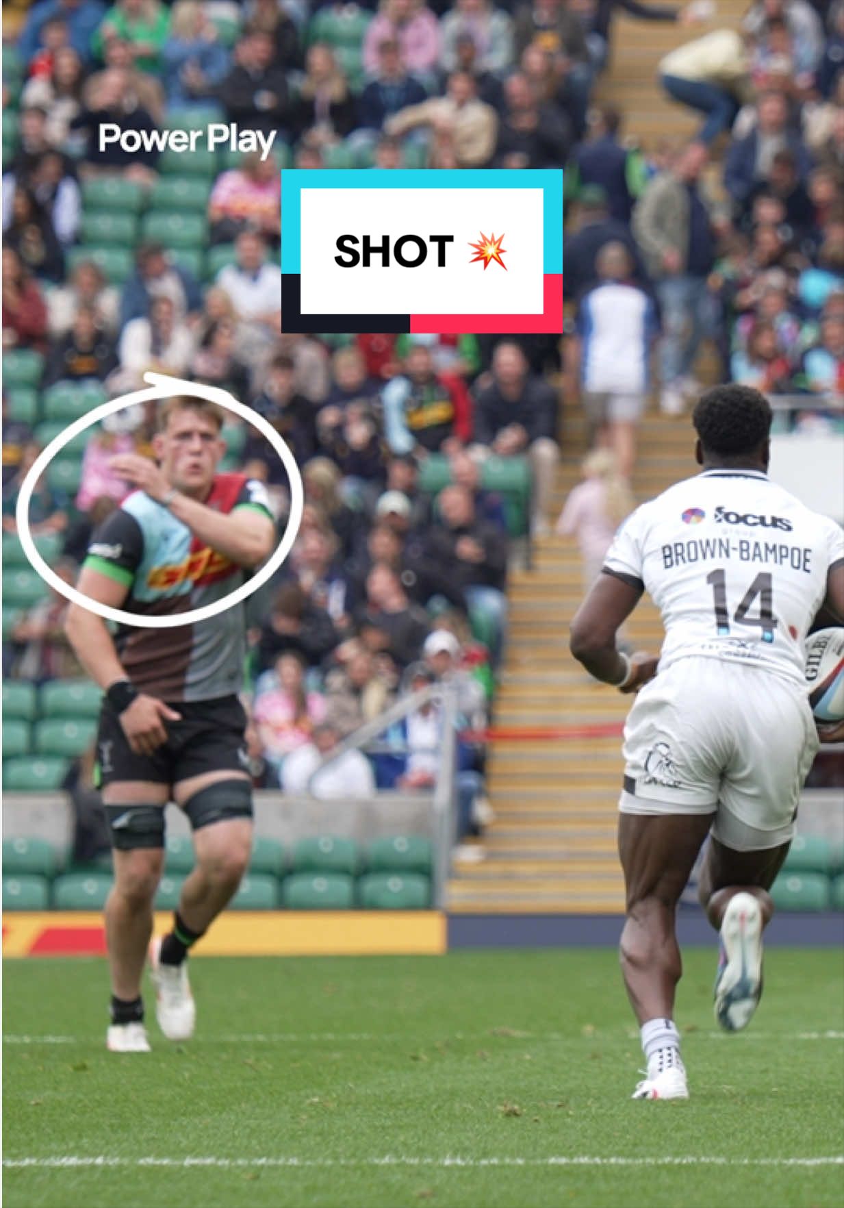 @Harlequins