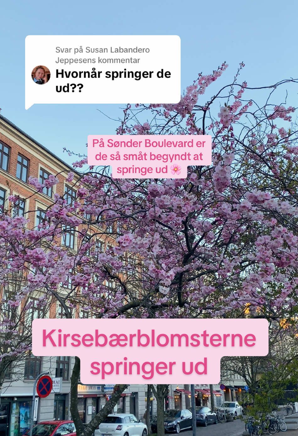 @Freja Holmbye | Copenhagen