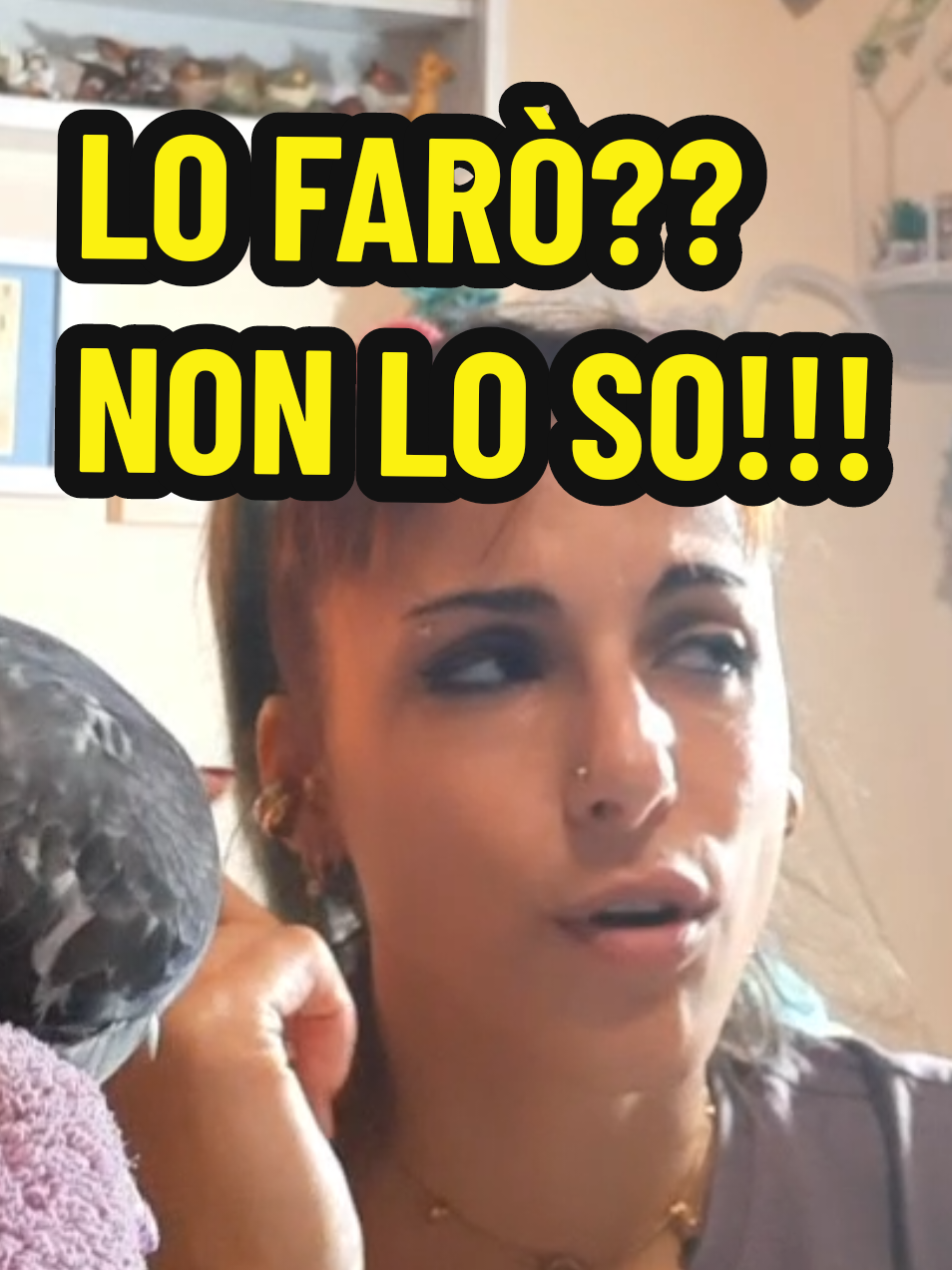 @Rosita Amici