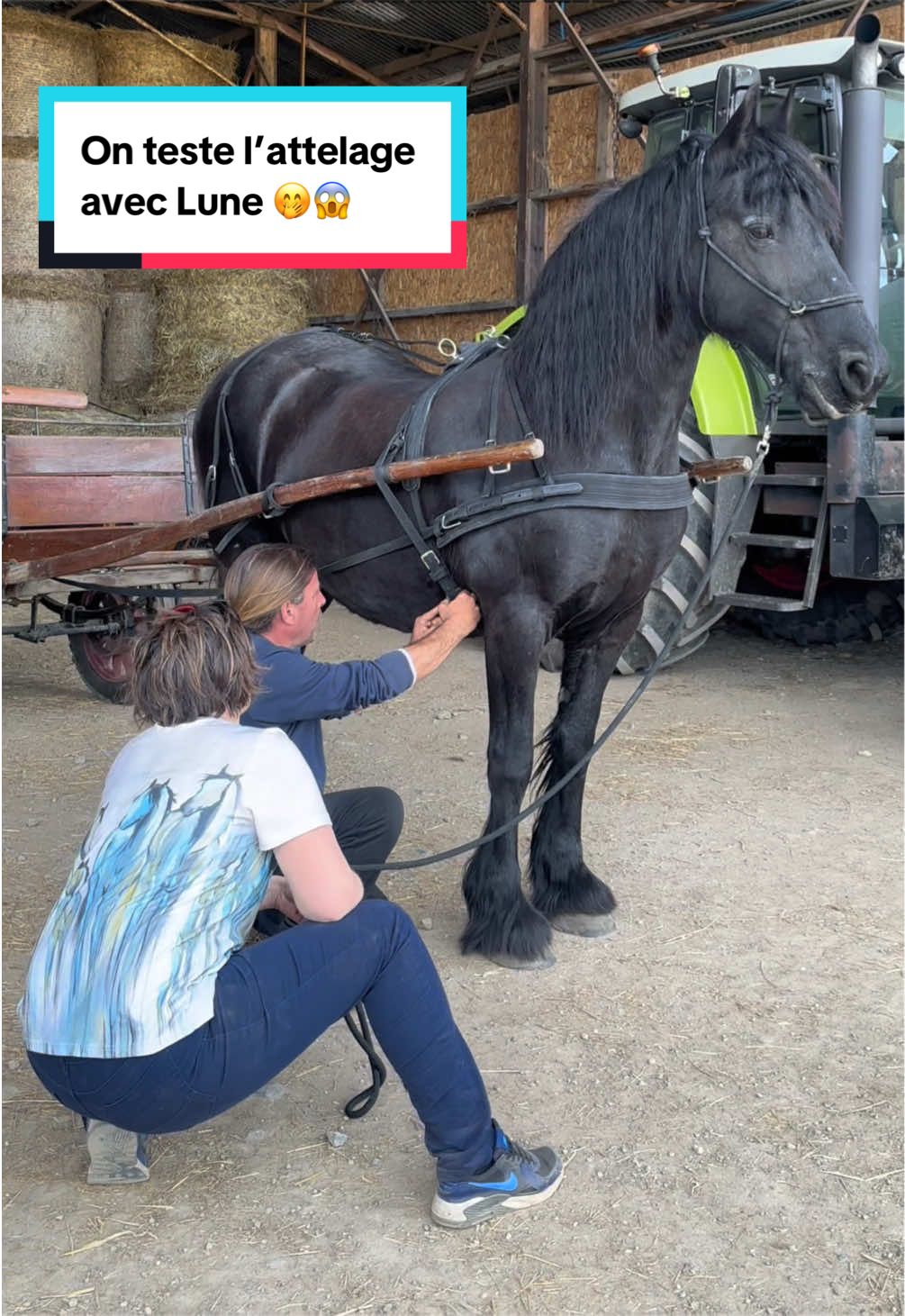 @mon poney pie