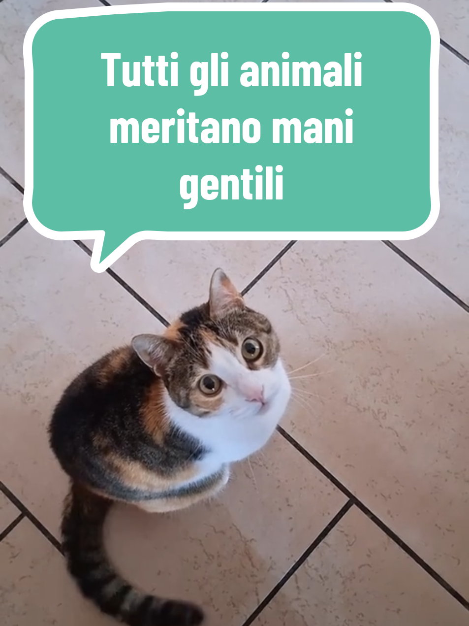 @Sissi&Mamy