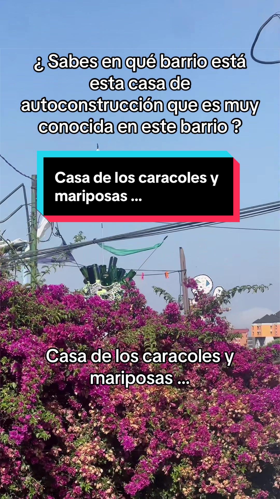 @Rafa Vilalta Rueda