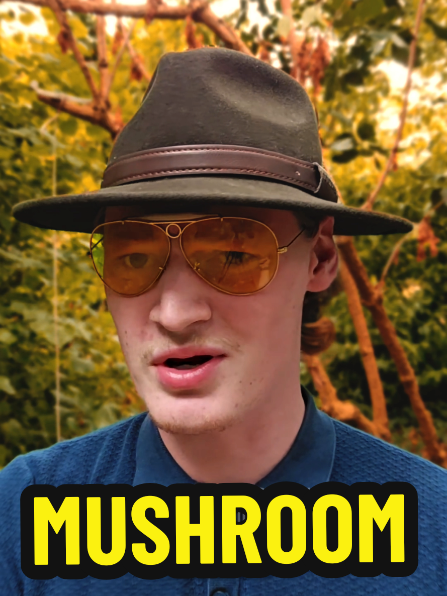 @ForestHope