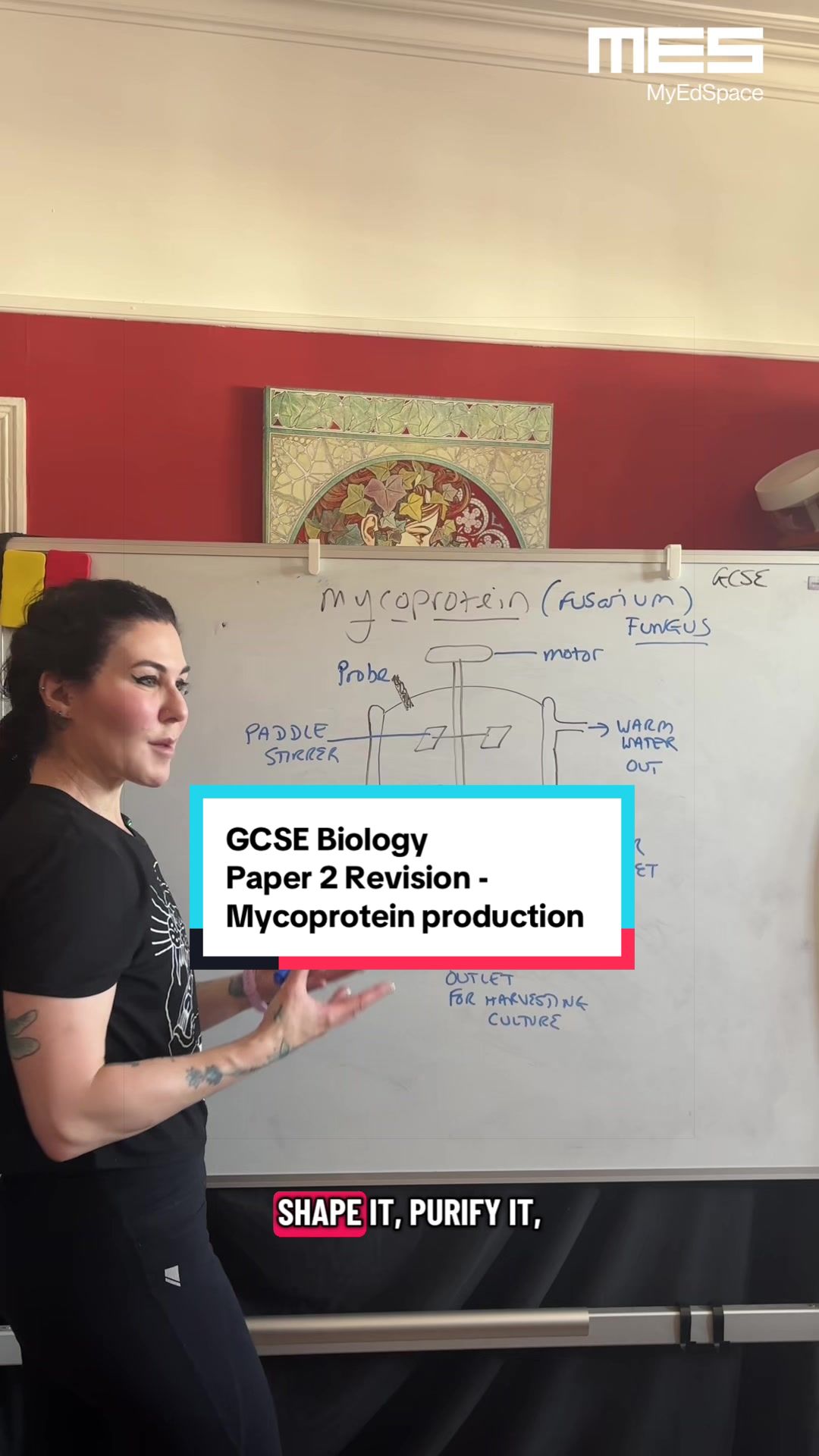 @MyEdSpace Biology