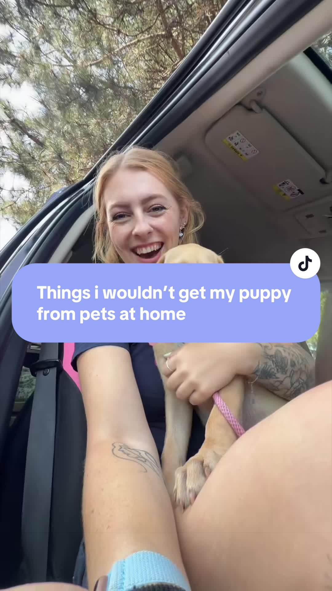 @Lily