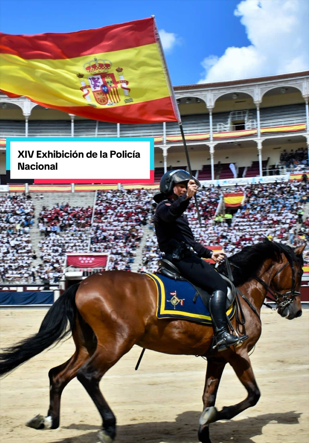 @Delegaci&oacute;n del Gobierno Madrid