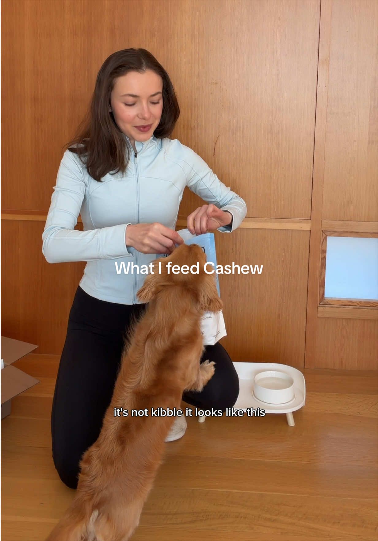@cashewdachshund