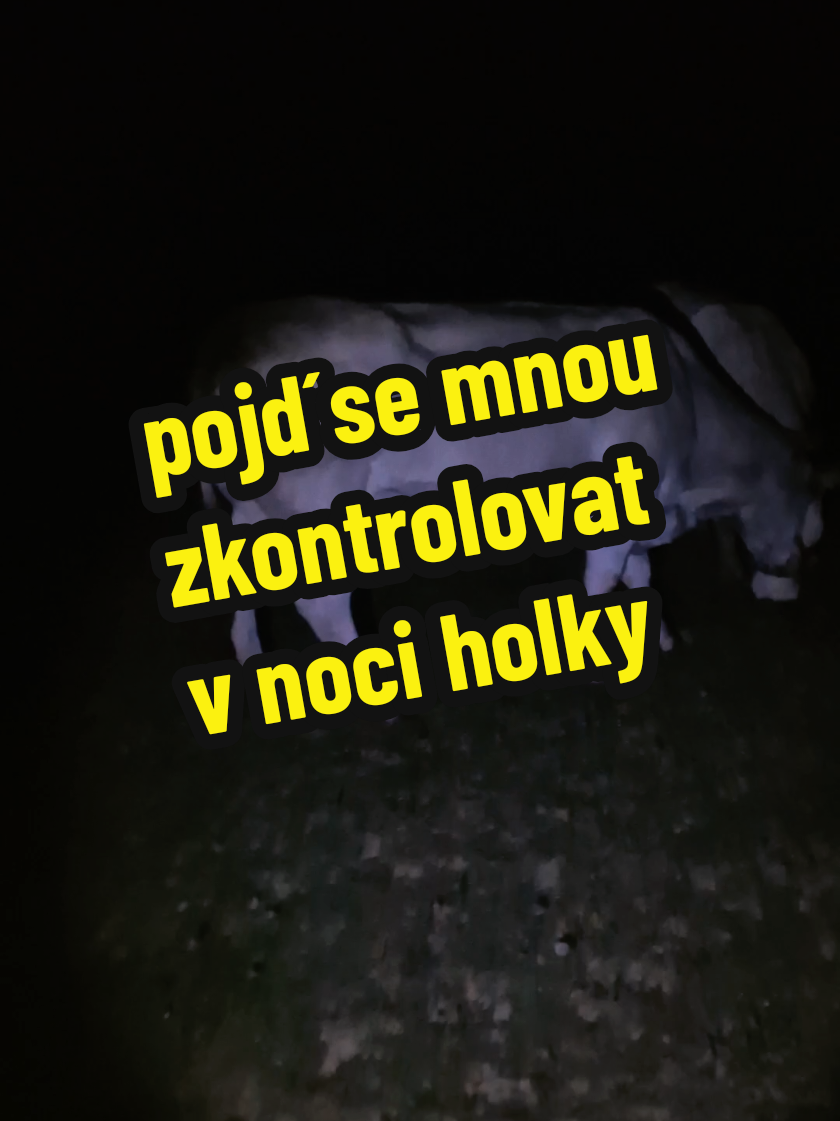 @Ekofarma Holčovice
