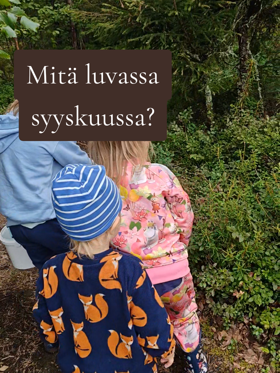 @🧡 24v &auml;iti nelj&auml;lle 🧡