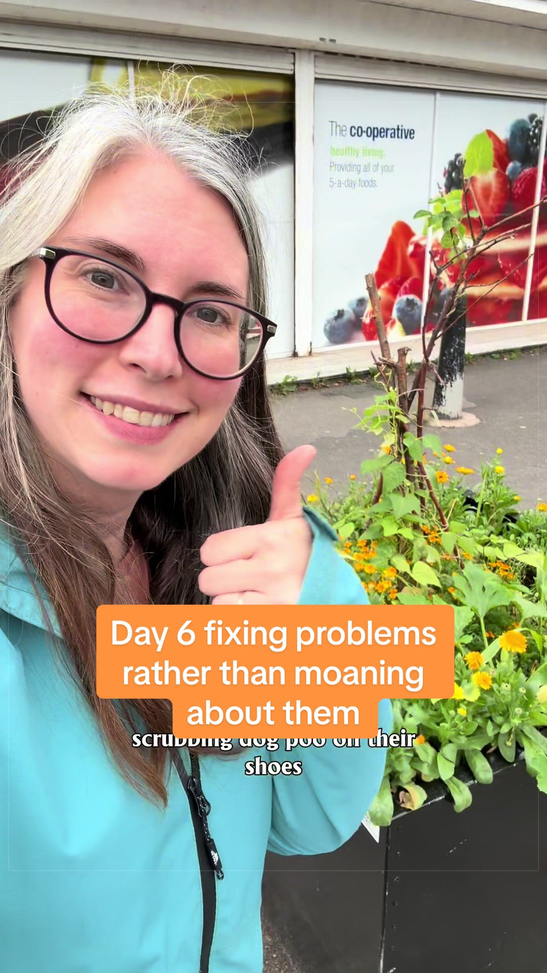 @ourlittleveggarden