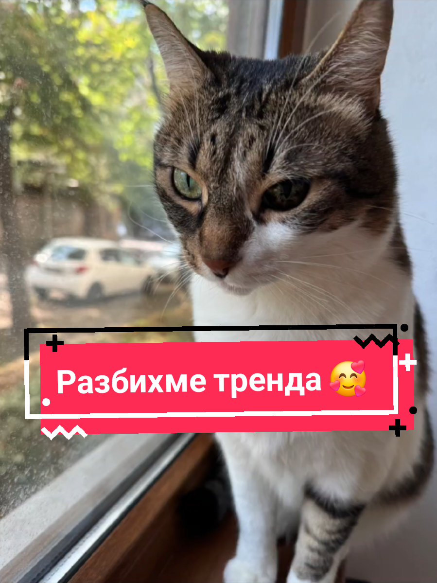@Alexandra A. Potter