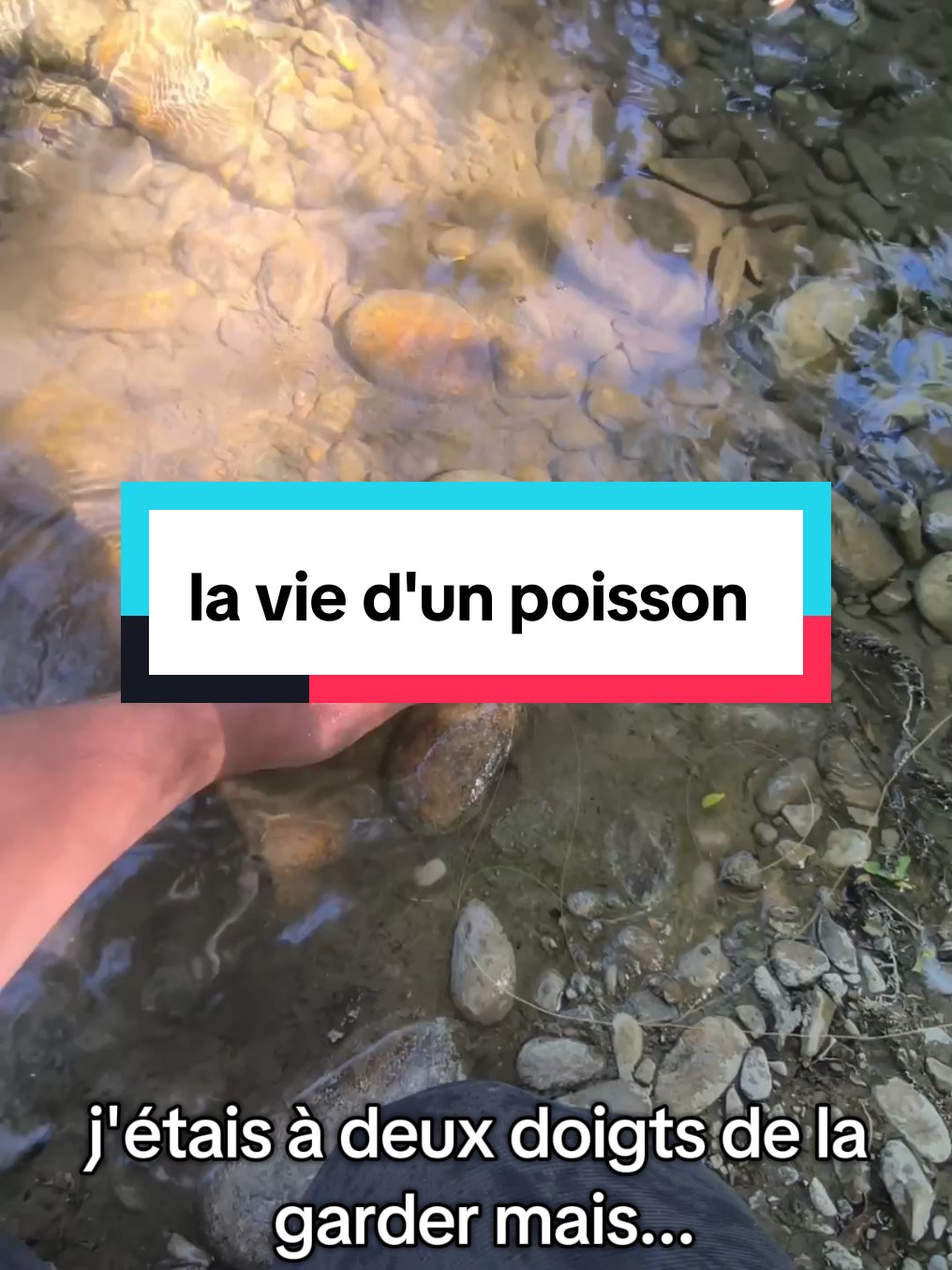 @flowfish